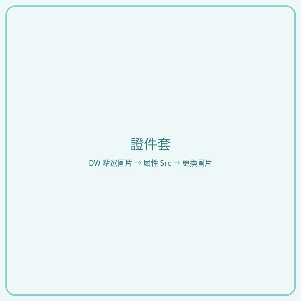 證件套