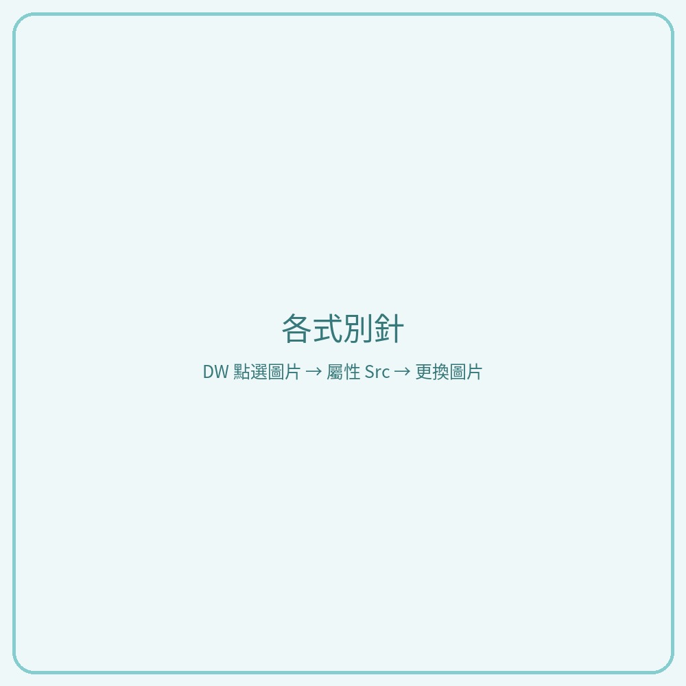 各式別針